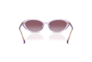 Vue arrière Ralph RA5338U (57468H)