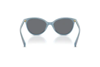 Vue arrière Ralph RA5339U (629287)