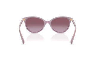 Vue arrière Ralph RA5339U (62938H)