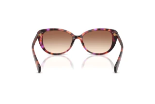 Vue arrière Ralph RA5340U (623913)