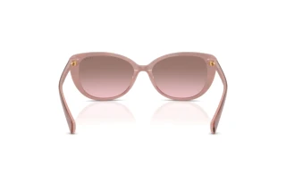 Vue arrière Ralph RA5340U (62919T)