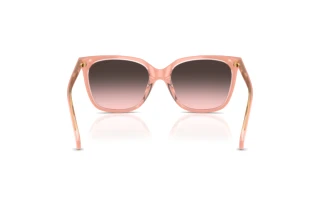 Vue arrière Ralph RA5343U (629646)