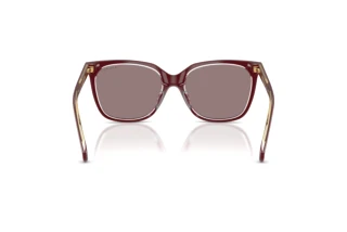 Vue arrière Ralph RA5343U (62997N)