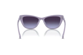 Vue arrière Ralph RA5346U (63014Q)