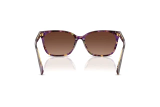 Vue arrière Ralph RA5348U (6303T5)