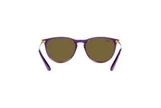 Vue arrière Ray-Ban Kids JUNIOR ERIKA (RJ9060S - 713173)