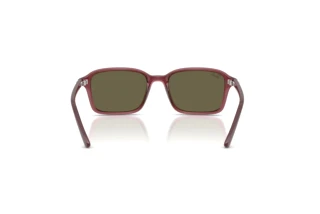 Vue arrière Ray-Ban Kids RJ9131S (7197/3)