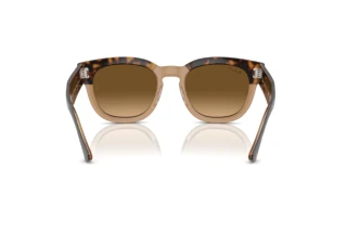 Vue arrière Ray-Ban MEGA HAWKEYE (RB0298S - 1292M2)