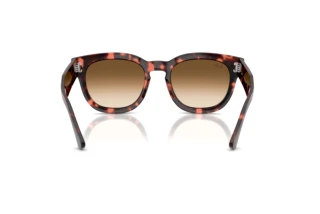 Vue arrière Ray-Ban MEGA HAWKEYE (RB0298S - 133451)