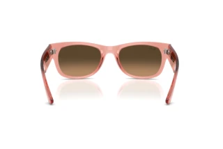 Vue arrière Ray-Ban MEGA WAYFARER II (RB0832S - 684843)