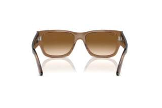 Vue arrière Ray-Ban CARLOS (RB0947S - 664051)