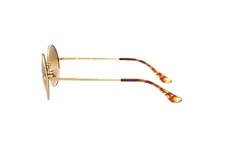 Vue latérale Ray-Ban OVAL (RB1970 - 914751)