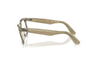 Vue latérale Ray-Ban WAYFARER (RB2140 - 1387GG)