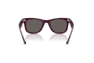 Vue arrière Ray-Ban WAYFARER (RB2140 - 1447B1)