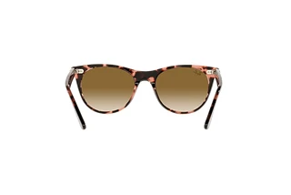 Vue arrière Ray-Ban WAYFARER II (RB2185 - 133451)