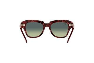 Vue arrière Ray-Ban STATE STREET (RB2186 - 1323BH)
