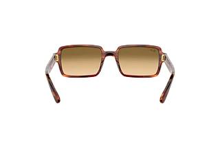 Vue arrière Ray-Ban BENJI (RB2189 - 954/51)