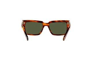 Vue arrière Ray-Ban INVERNESS (RB2191 - 954/31)