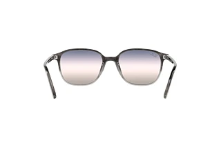 Vue arrière Ray-Ban LEONARD (RB2193 - 1326GE)
