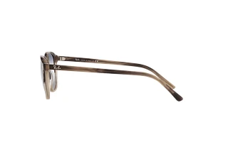 Vue latérale Ray-Ban LEONARD (RB2193 - 1327GF)