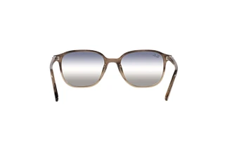 Vue arrière Ray-Ban LEONARD (RB2193 - 1327GF)