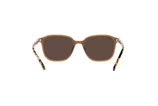 Vue arrière Ray-Ban LEONARD (RB2193 - 663693)