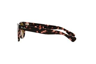 Vue latérale Ray-Ban LARAMIE (RB2201 - 133451)