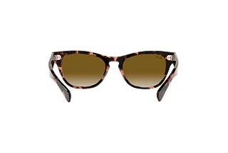 Vue arrière Ray-Ban LARAMIE (RB2201 - 133451)