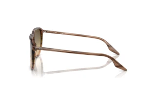 Vue latérale Ray-Ban RB2203 (13920A)