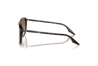 Vue latérale Ray-Ban RB2203 (902/51)
