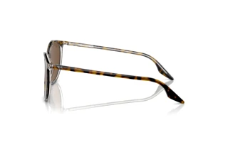 Vue latérale Ray-Ban RB2204 (139357)