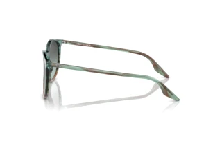 Vue latérale Ray-Ban RB2204 (1394GK)