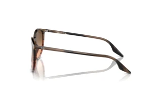Vue latérale Ray-Ban RB2204 (13953B)