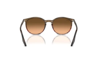 Vue arrière Ray-Ban RB2204 (13953B)