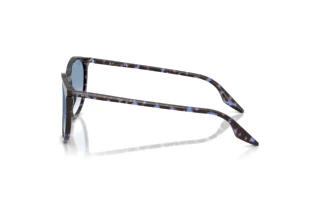 Vue latérale Ray-Ban RB2204 (14303F)