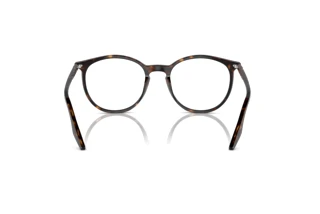 Vue arrière Ray-Ban RB2204 (902/GJ)