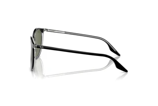 Vue latérale Ray-Ban RB2204 (919/58)