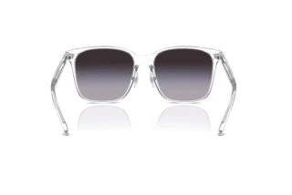 Vue arrière Ray-Ban RB2206D (64478G)