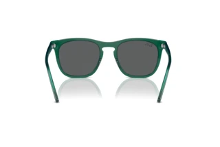 Vue arrière Ray-Ban RB2210 (6615B1)
