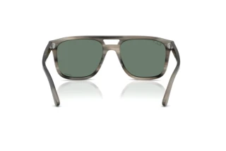 Vue arrière Ray-Ban RB2213CH (14243R)