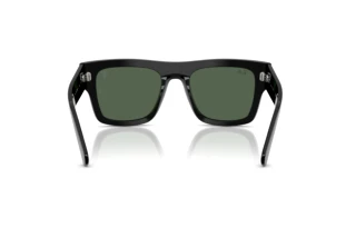 Vue arrière Ray-Ban RB2217M (F60171)