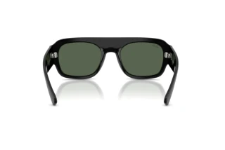 Vue arrière Ray-Ban RB2218 (667771)
