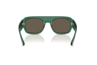 Vue arrière Ray-Ban RB2218 (6681/3)
