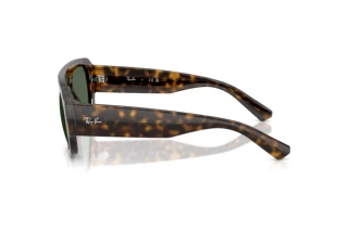 Vue latérale Ray-Ban RB2218 (679071)