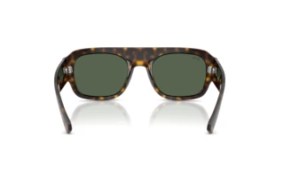 Vue arrière Ray-Ban RB2218 (679071)