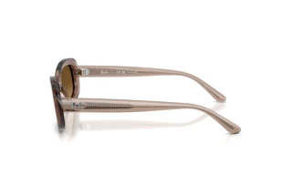 Vue latérale Ray-Ban RB2221 (6827M2)