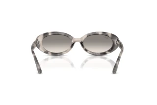 Vue arrière Ray-Ban RB2223 (144832)