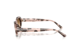 Vue latérale Ray-Ban RB2223 (144951)