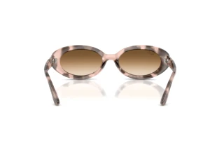 Vue arrière Ray-Ban RB2223 (144951)