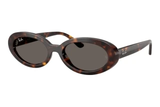 Vue de face Ray-Ban RB2223 (902/B1)